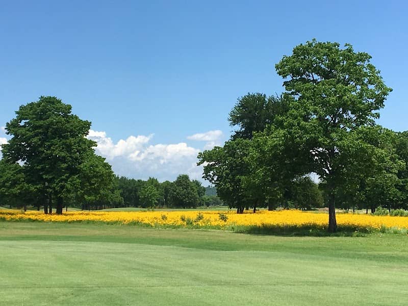 Ben Geren Public Golf Course - Image 2