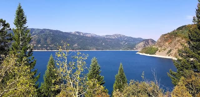 Swan Valley - Image 1