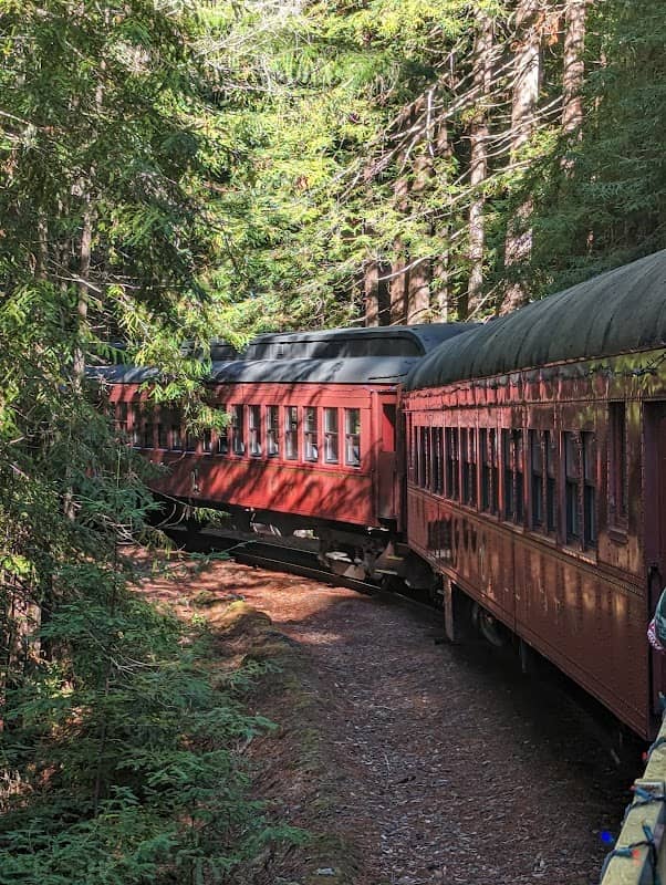 The Skunk Train - Image 1
