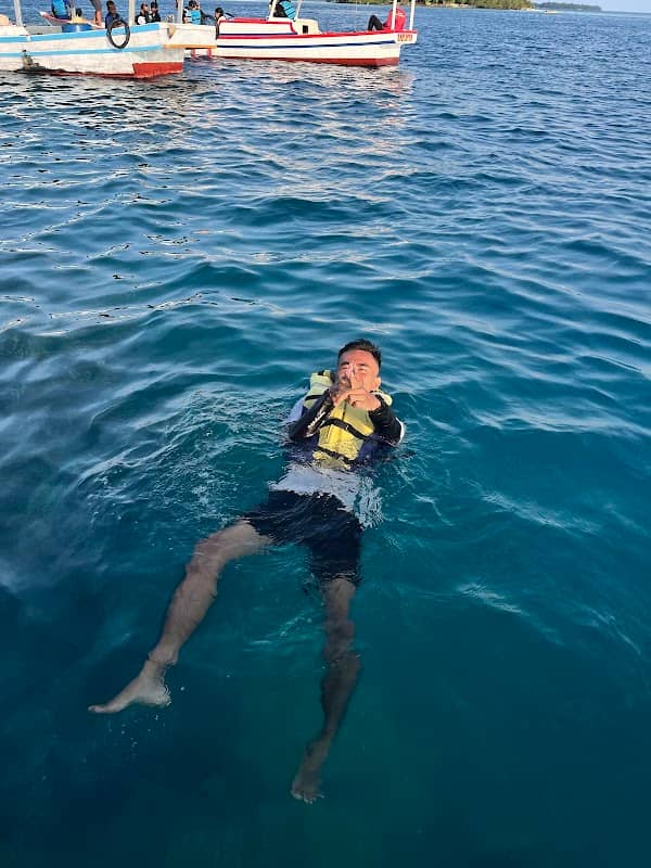 laut - Image 1