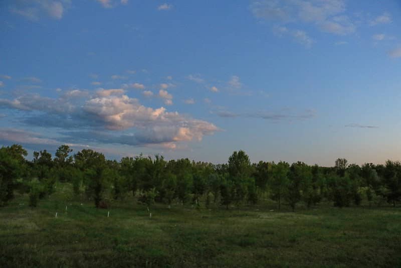 Bosco di Castenedolo - Ex cava Santa Giustina - Image 2