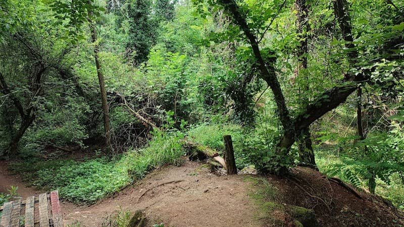 Bosco di Castenedolo - Ex cava Santa Giustina - Image 1