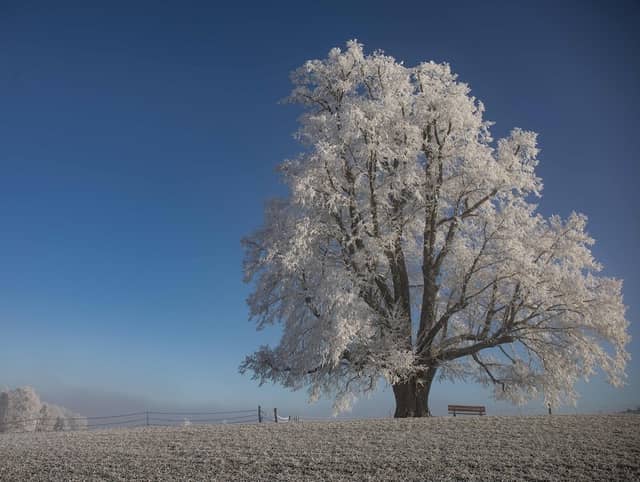 Linde Landerswil - Image 1