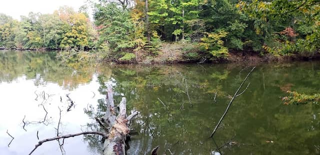 Holly Tree Trail - Image 1
