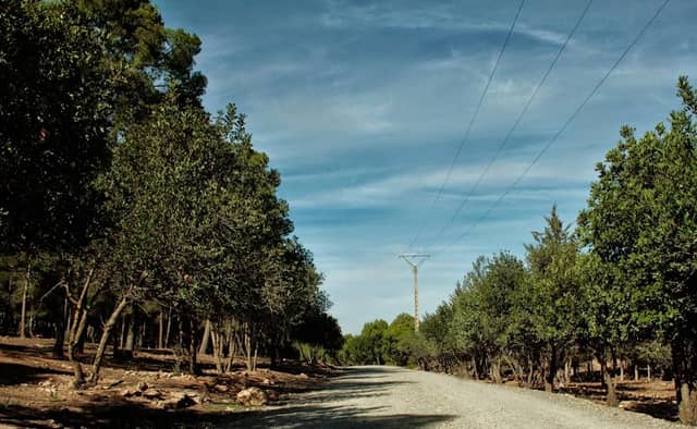 Park Sidi M'aafa - Image 1