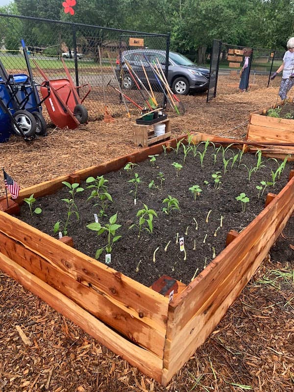 Harrisburg Community Garden - Image 3