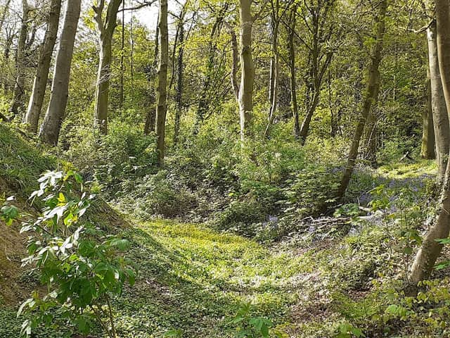 The Whyte Estate - Image 1