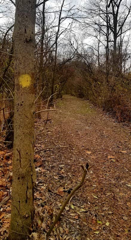 Whetstone Loop Trailhead - Image 2