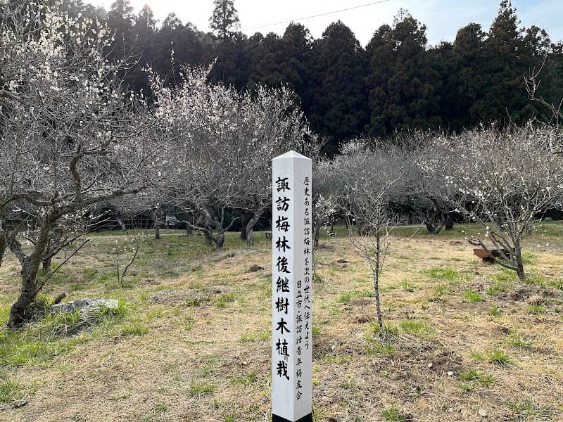 Suwa Plum Grove - Image 1