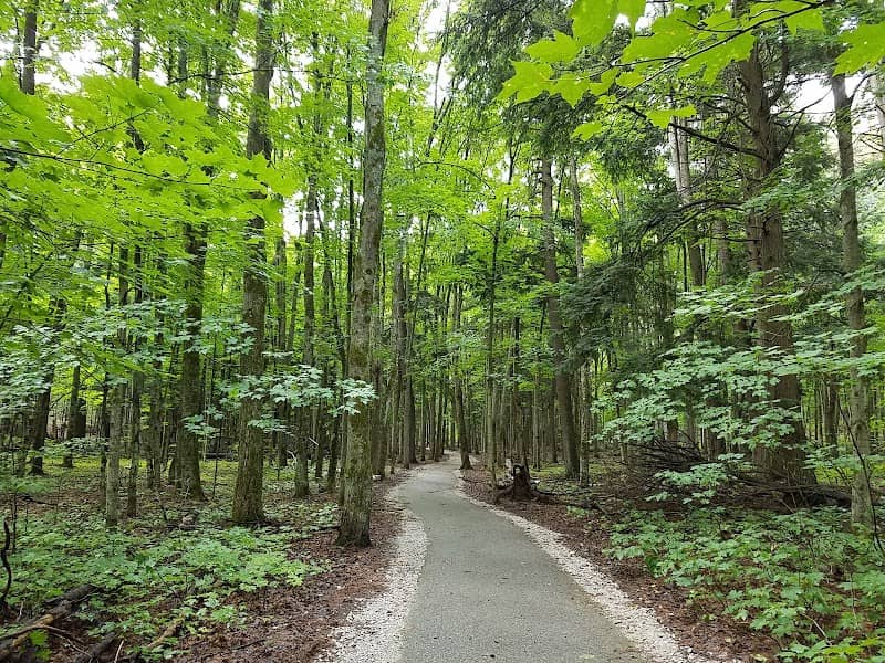 Hartwick Pines State Park - Image 3