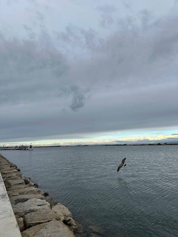 Ria de Aveiro - Image 2