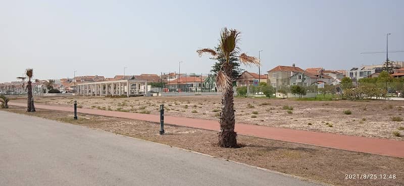 Ria de Aveiro - Image 3