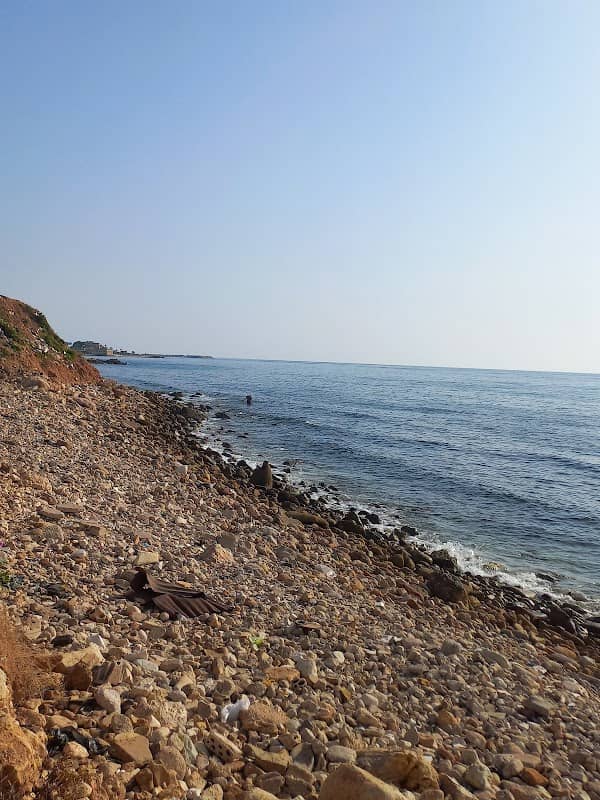 منتزه - Image 2