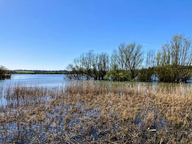 Pitsford Water Nature Reserve - Image 1