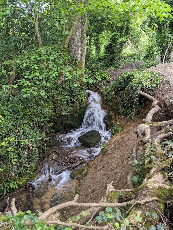 Box Wood Nature Reserve - Image 2