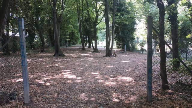 Area Cani Piove di Sacco - Image 1