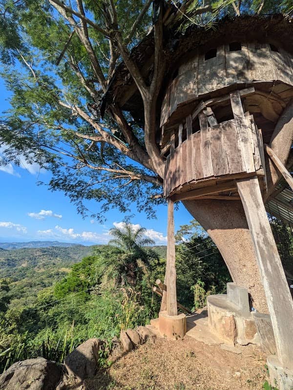 La Casa del Arbol - Mirador El Tule - Image 1