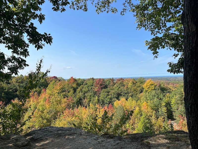 Chapin Forest Reservation - Image 2