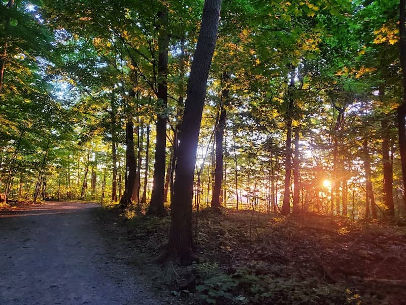Chapin Forest Reservation - Image 1