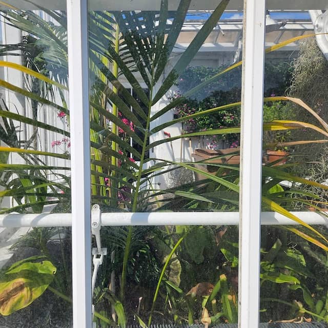 Greenhouse - Image 2
