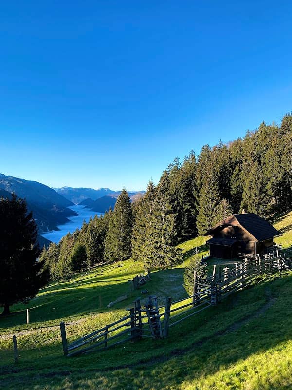 Spitzelsteinalm - Image 1