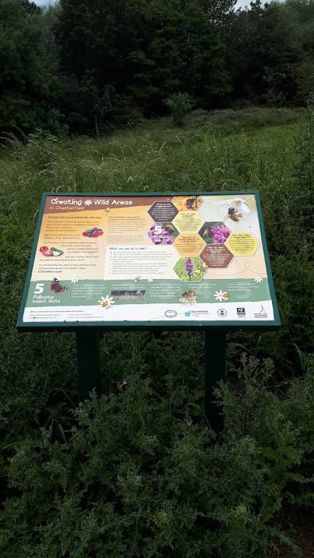 Wild Area information - Image 1