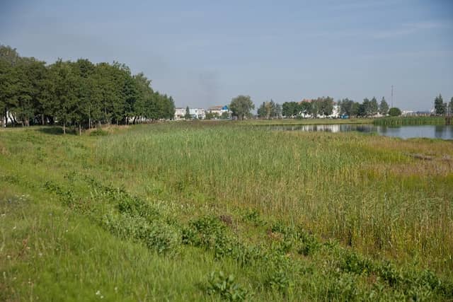 Tvorichevka - Image 1