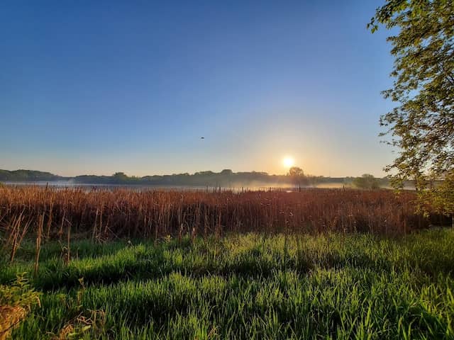 Northwest Greenway - Image 2
