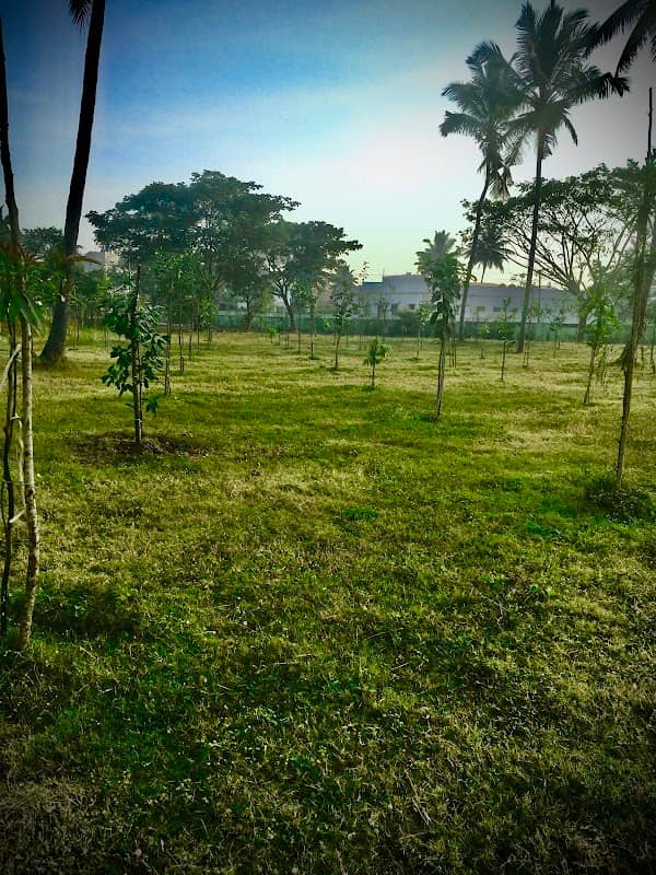 Jayachamarajendra Ornitho park - Image 2