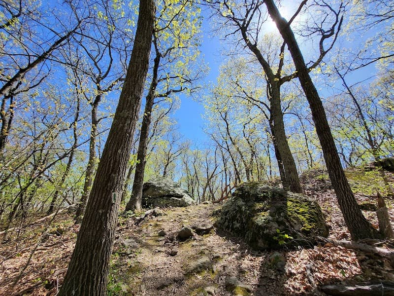 Riley Conservation Area - Image 1