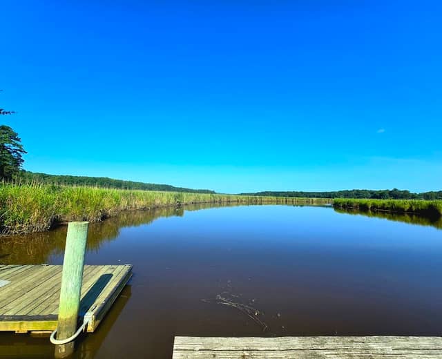 Rappahannock River Valley National Wildlife Refuge - Hutchinson Unit - Image 3