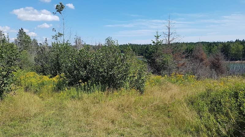 Backbay Fork - Image 1