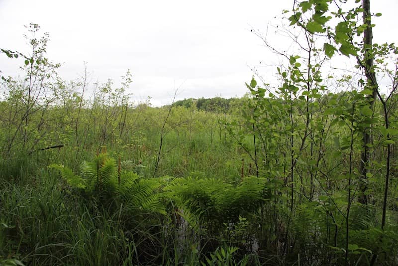 Schaftenaar Preserve (Hall's Lake Natural Area) - Image 2