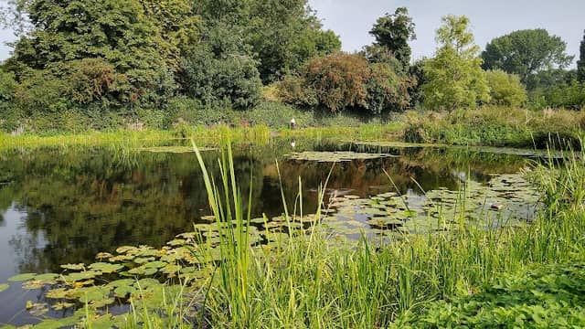 Victoria Park - Image 1