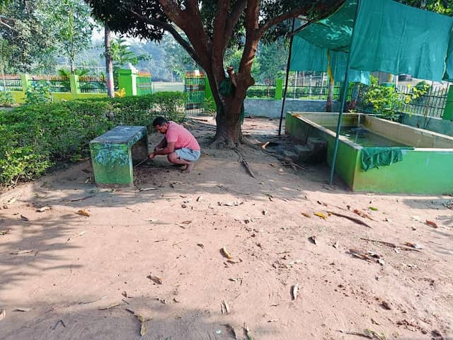 Green park,hariharpur - Image 1