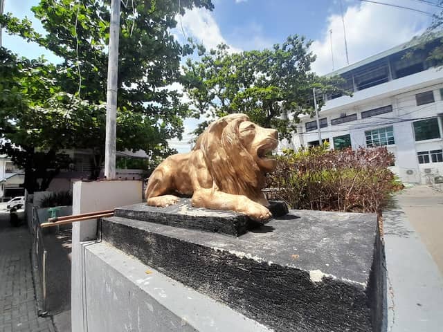 Lion’s Park - Image 1