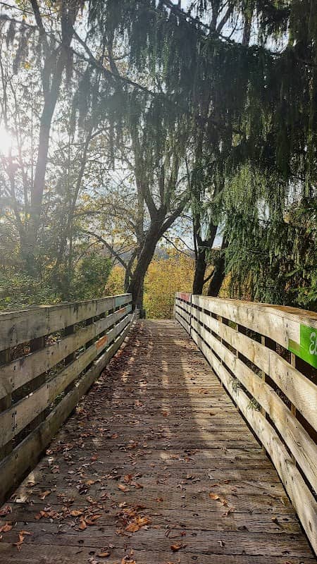 Passerelle Du Ruisseau Clair - Image 1