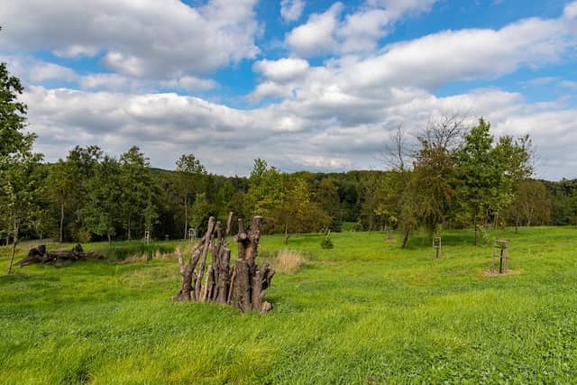 DiscGolfPark Šporovnice - Image 1