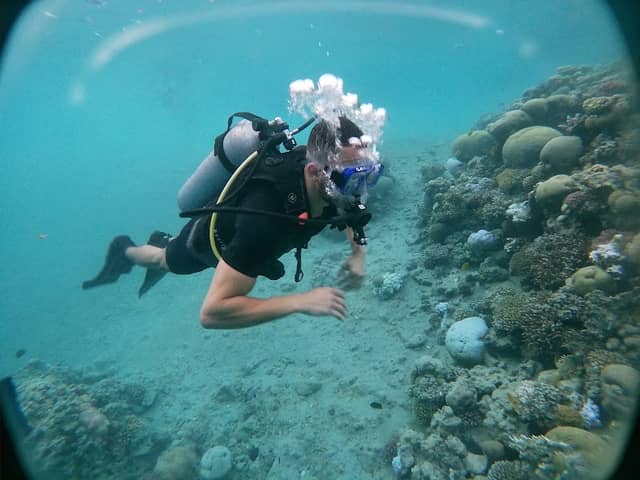 Diving - Image 1