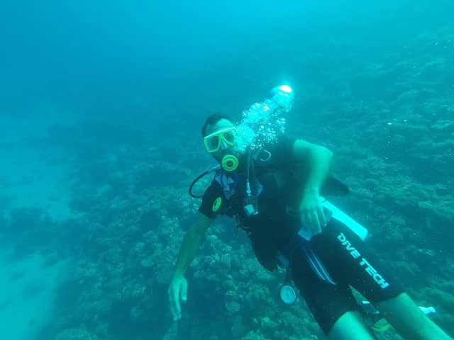 Diving - Image 3