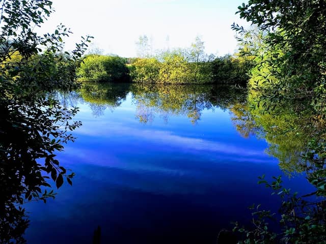 Hochzeitswald - Image 1