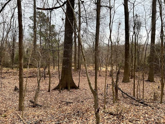 Long Meadow Trailhead - Image 2