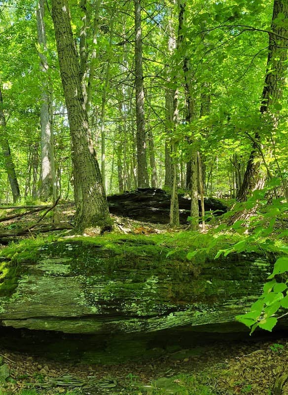 table rock - Image 2
