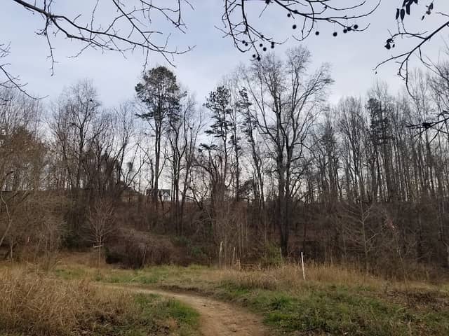 Seven Oaks Preserve Trail - Image 2