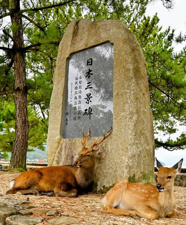 日本三景碑 - Image 1