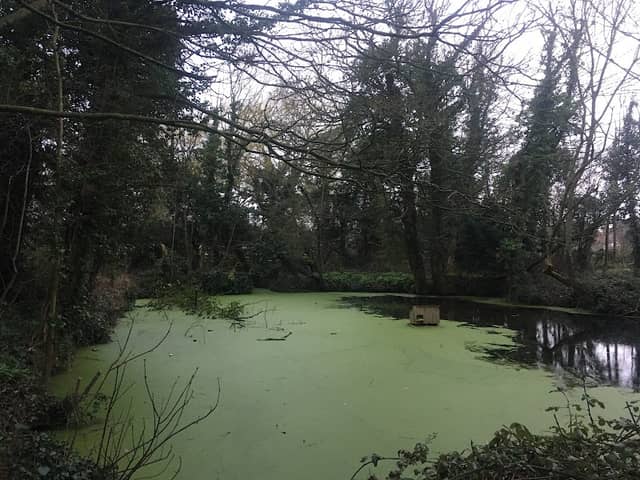 St Mary’s Nature Reserve - Image 1