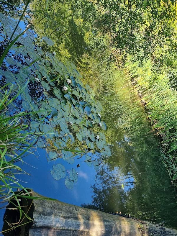 Bransland Woods - Image 1
