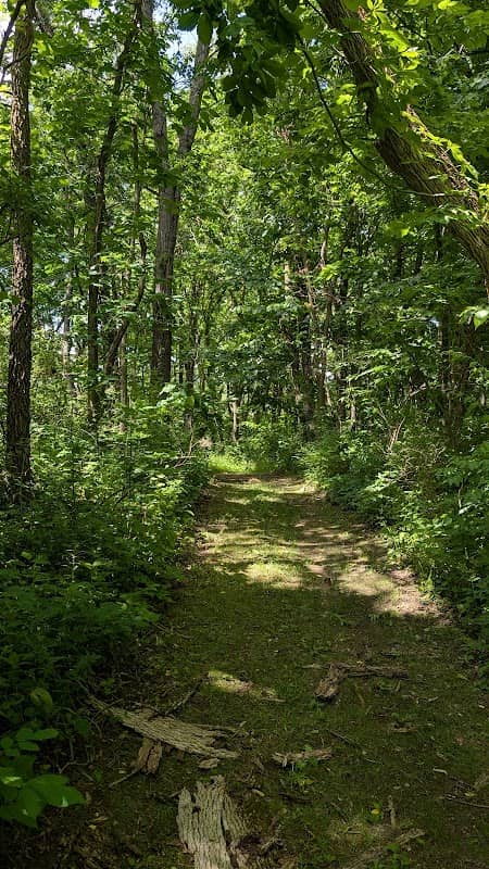 Rockford Rotary Forest Preserve - Image 1