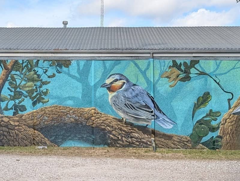 Bird Mural - Image 1