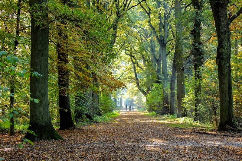 Philips de Jongh park - Image 3